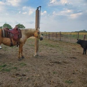 Meet your Posher, Courtney